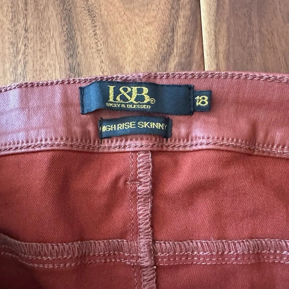 Lucky & Blessed Coated Rust Colored High Rise Skinny Jeans size 18 - Picture 6 of 6